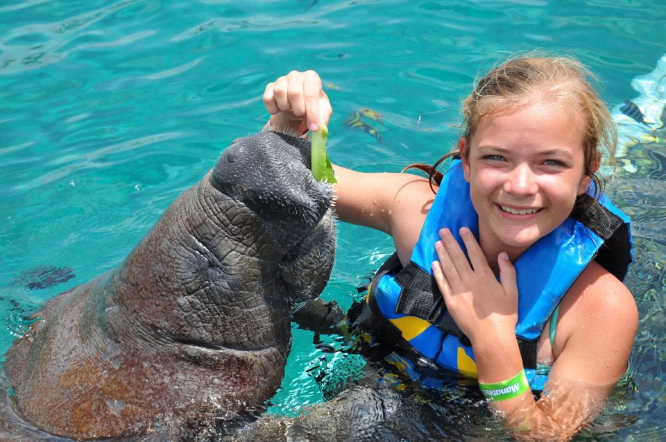 Cancún: Manatee Encounter on Isla Mujeres With Buffet Lunch - Activity Description
