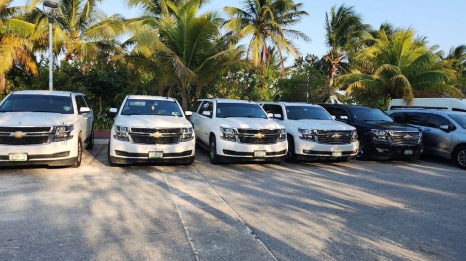 Cancun: Private Transportation to Holbox Island - Experience Highlights