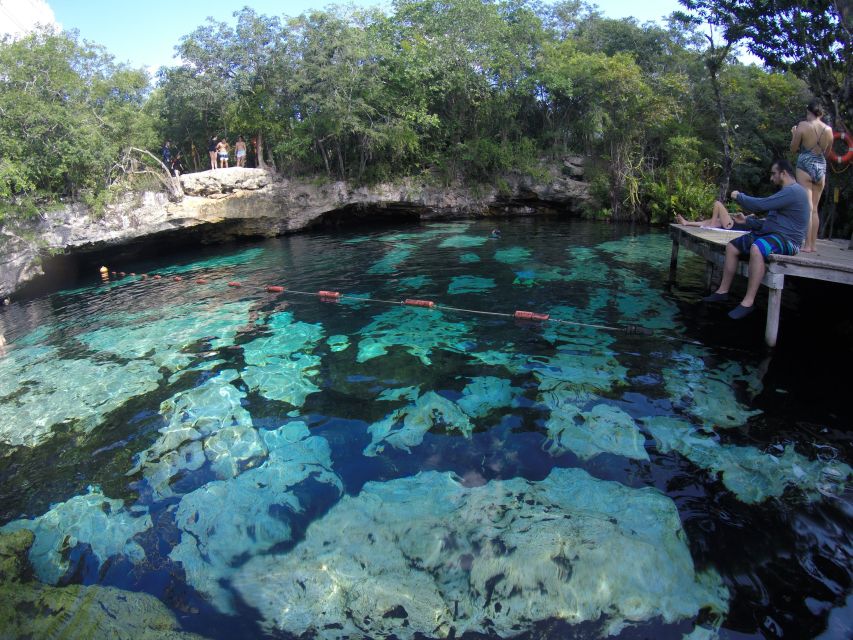 Cancún: Snorkeling With Marine Turtles and Cenote Swim - Experience Highlights