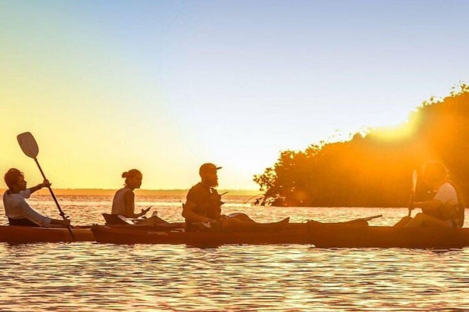 Cancun: Sunrise or Sunset Kayak Tour - Experience Highlights