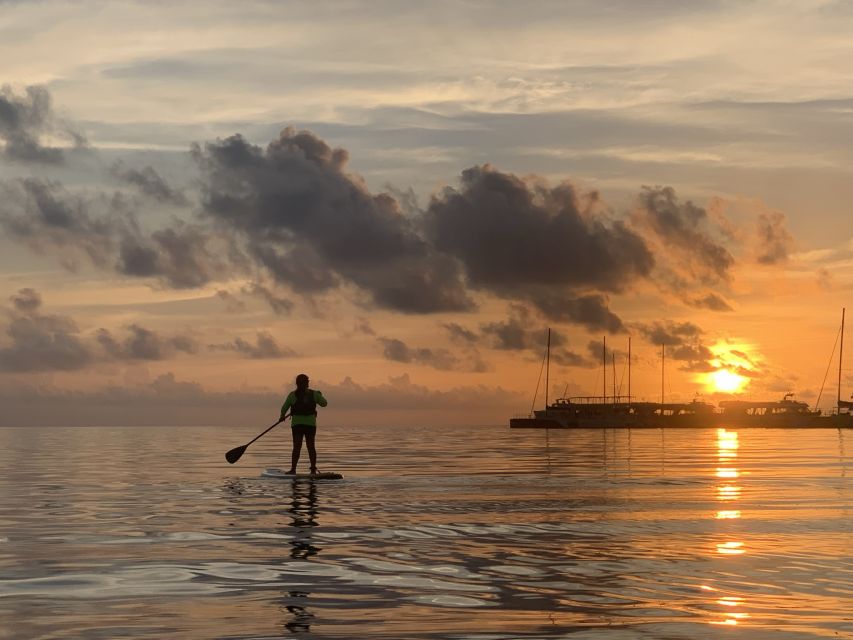 Cancun: Sunrise/Sunset Stand-Up Paddleboarding Tour - Experience Highlights