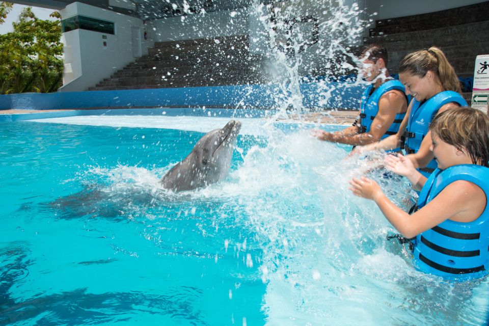 Cancún: Swim With Dolphins at Interactive Aquarium Cancún - Booking Information