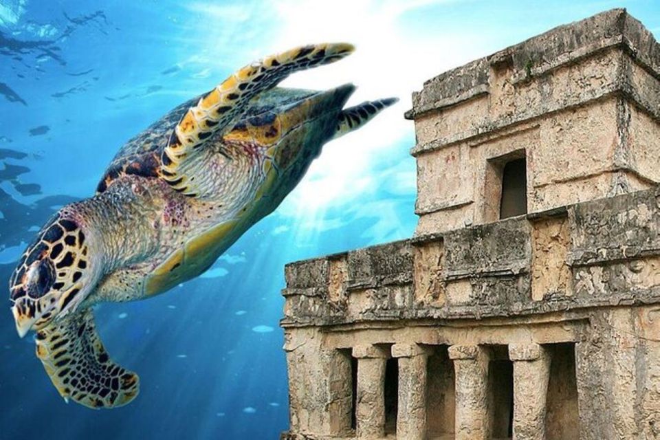 Cancun: Tulum Ruins & Snorkeling With Sea Turtles Tour - Experience Highlights