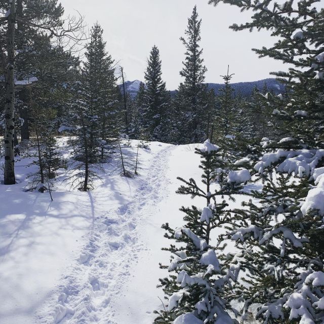 Canmore: Lost Towns and Untold Stories - Hiking Tour 3hrs - Experience Highlights