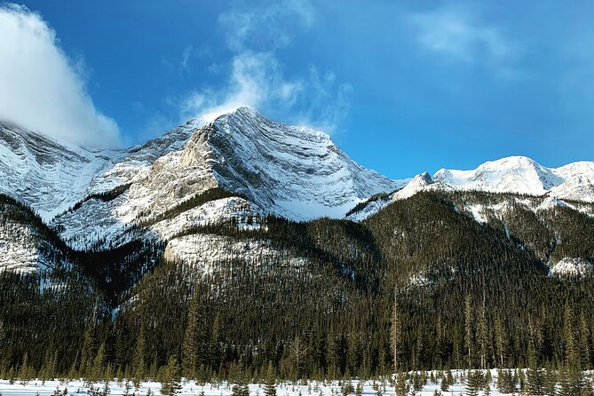 Canmore: Mountain Drive and Nature Walk - Private Tour 4hrs - Scenic Mountain Drive Experience