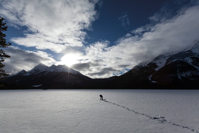 Canmore: Wilderness & Wildlife Hiking Tour - 3hrs - Cancellation Policy and Weather Considerations