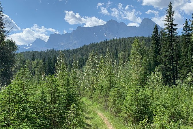 Canmore Wildlife Safari Drive and Walk in the Rocky Mountains - Logistics and Meeting Point Details