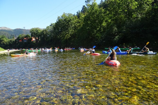 Canoeing Down the Sella River - Wildlife Spotting Opportunities