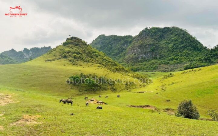 Cao Bang Loop With Adventure Motorbike Viet Tour 2 Days - Booking Details