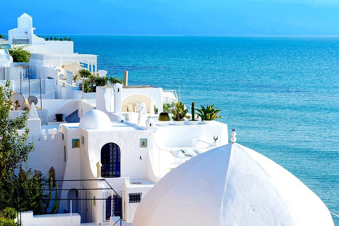 Cap Bon Full-Day Tour W/Lunch From Tunis or Hammamet - Itinerary Overview