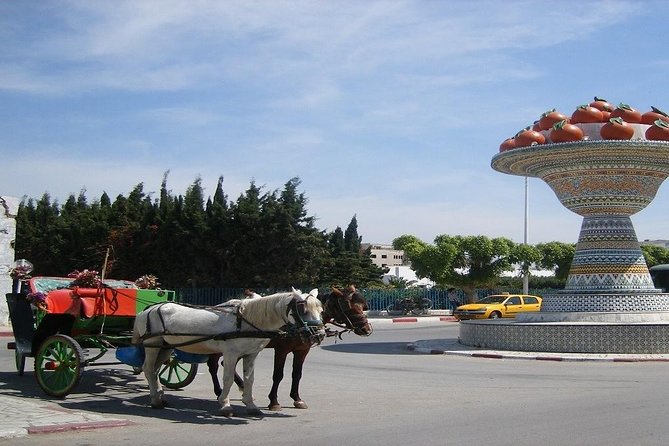 Cap Bon Guided Day Tour From Tunis - Pricing and Cancellation Policy