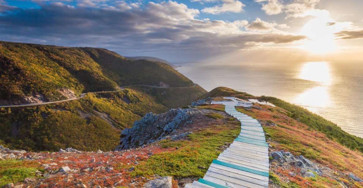 Cape Breton Island: Shore Excursion of The Skyline Trail - Experience Highlights