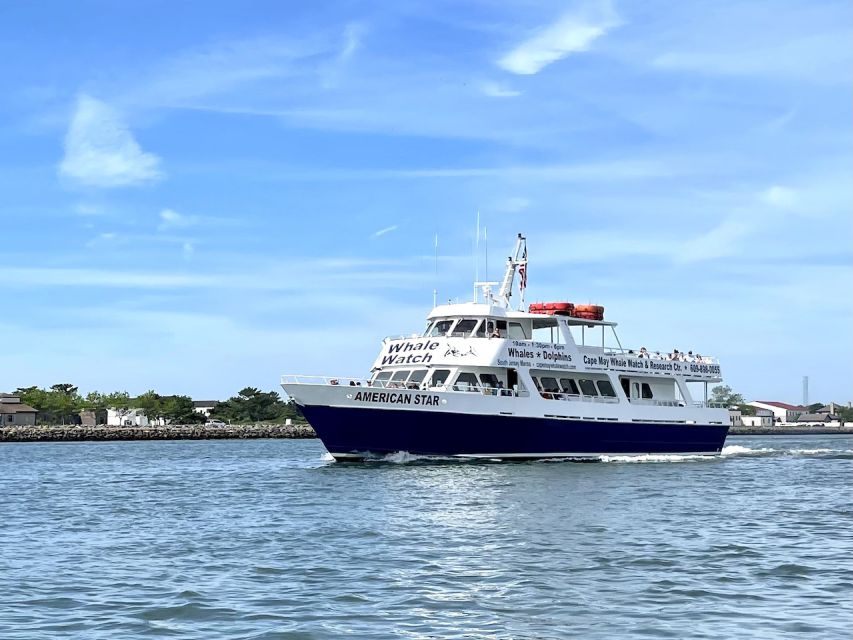 Cape May: Scenic Whale and Dolphin Watching Cruise - Booking Information