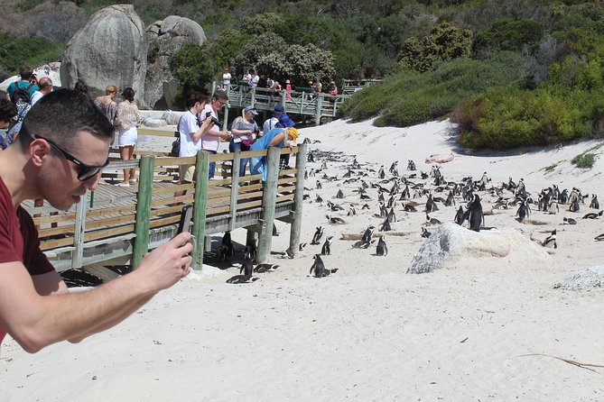 Cape Of Good Hope Bo-Kaap Penguins Full Day Shared Tour Excluding Entry Fees - Traveler Engagement