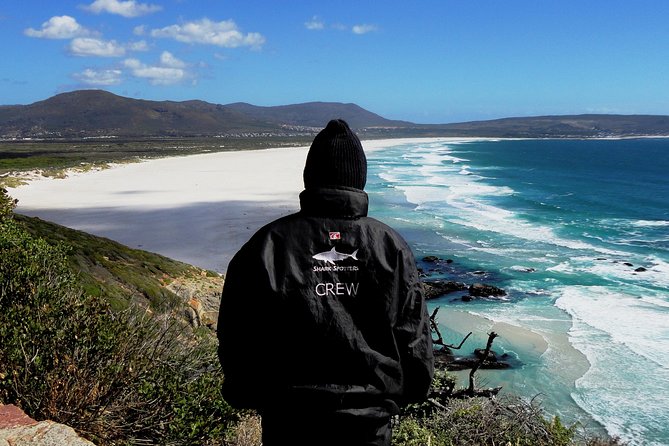 Cape of Good Hope, Cape Point & Penguins Private Customizable Afternoon Tour - Cancellation Policy