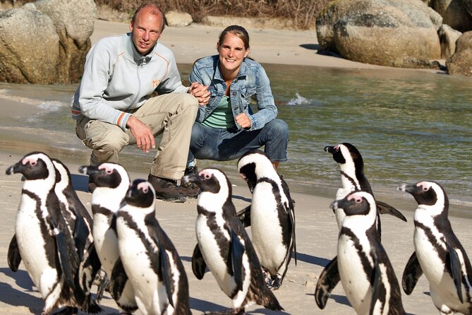 Cape of Good Hope & Penguins Small Group Tour From Cape Town - Booking Information