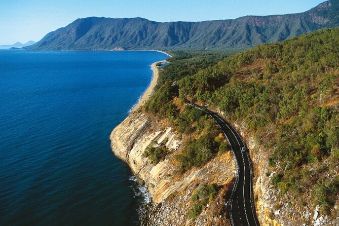 Cape Tribulation and Daintree Wilderness Day Tour in Cairns - Safety Measures