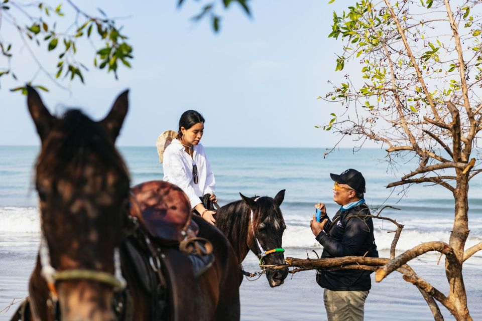 Cartagena: Beach Horse Ride and Colombian Horse Culture - Experience Highlights