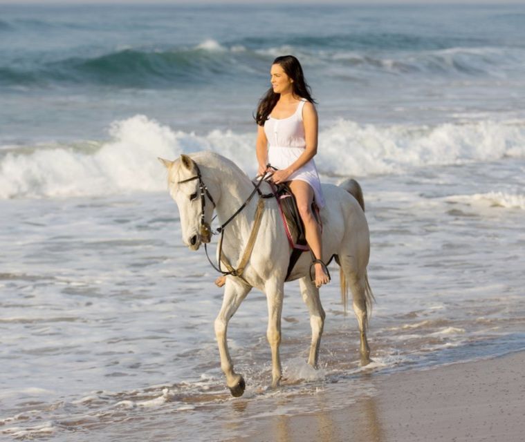 Cartagena: Beach Horseback Riding Tour at Sunset - Booking Information