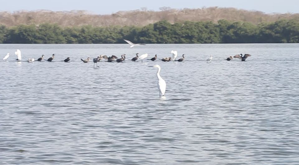 Cartagena Fishing, Crabbing, Birdwatching Experience Lunch - Experience Highlights