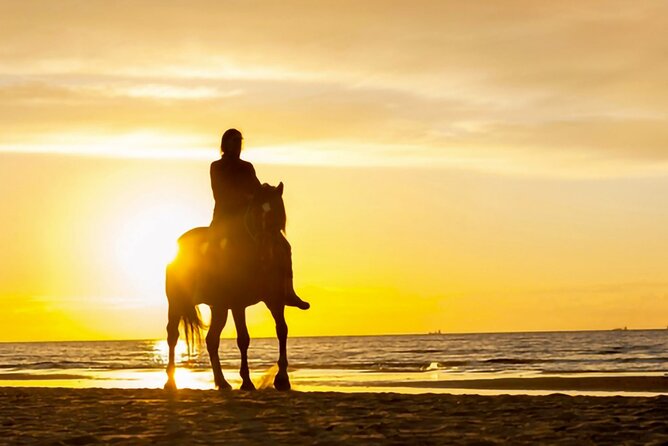 Cartagena: Horseback Riding Along The Beach (Dont Overpay) - Admission Ticket Information