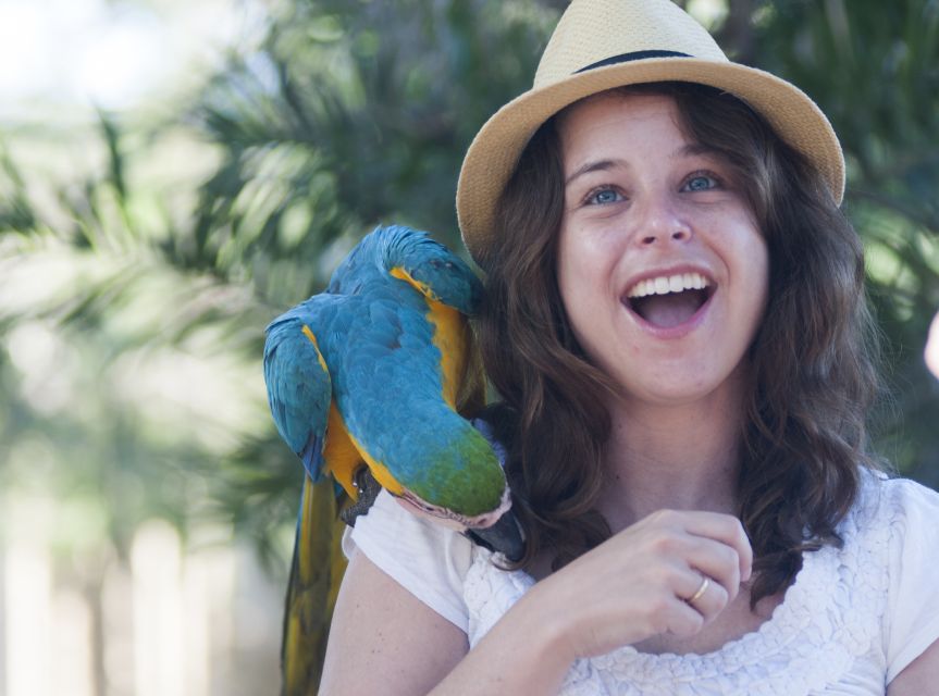 Cartagena: National Aviary of Colombia Entrance Tickets - Experience Highlights