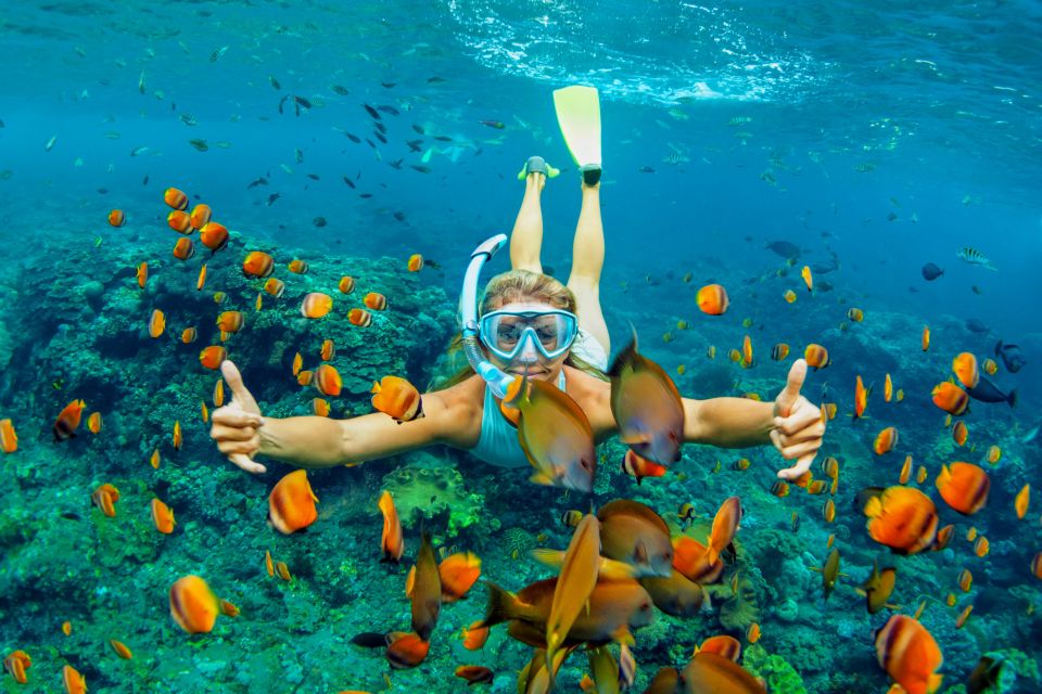 Cartagena: Snorkel, Mangroves and Playa Blanca Tour - Experience Highlights