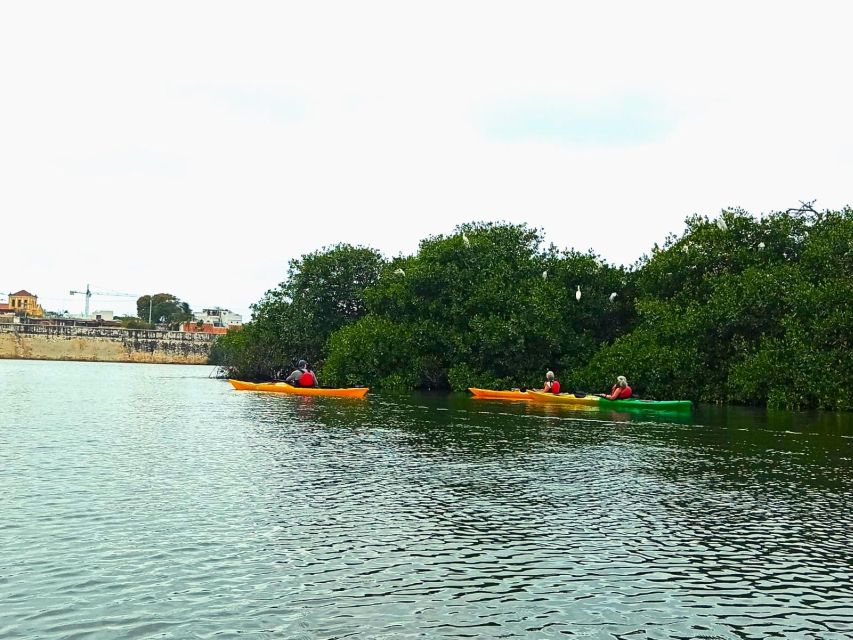 Cartagena: Walled City Kayak Tour - Experience Highlights