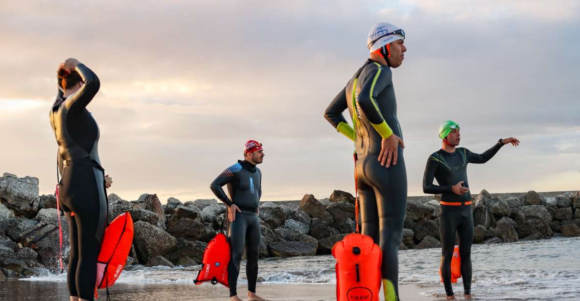 Cascais: Open Water Swimming - Experience Highlights