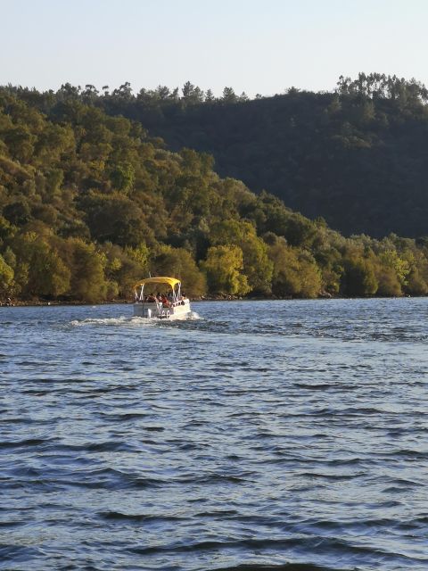 Castelo Branco: Portas De Ródão Natural Monument Boat Trip - Experience Highlights