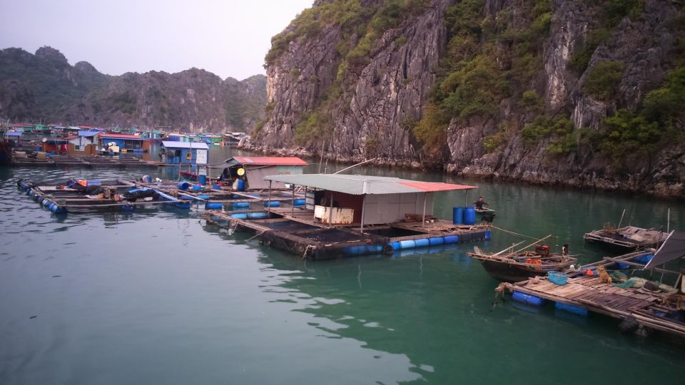 Cat Ba Island: Full-Day Cruise to Lan Ha Bay and Ha Long Bay - Review Summary