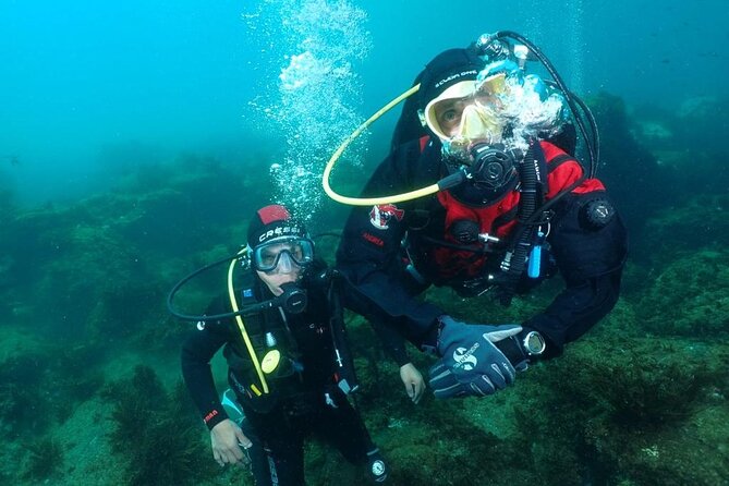 Catania: Scuba Diving Experience - Underwater Lava Fields Exploration