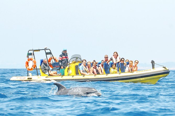 Caves and Dolphin Watching Cruise From Albufeira - Dolphin Spotting Opportunity