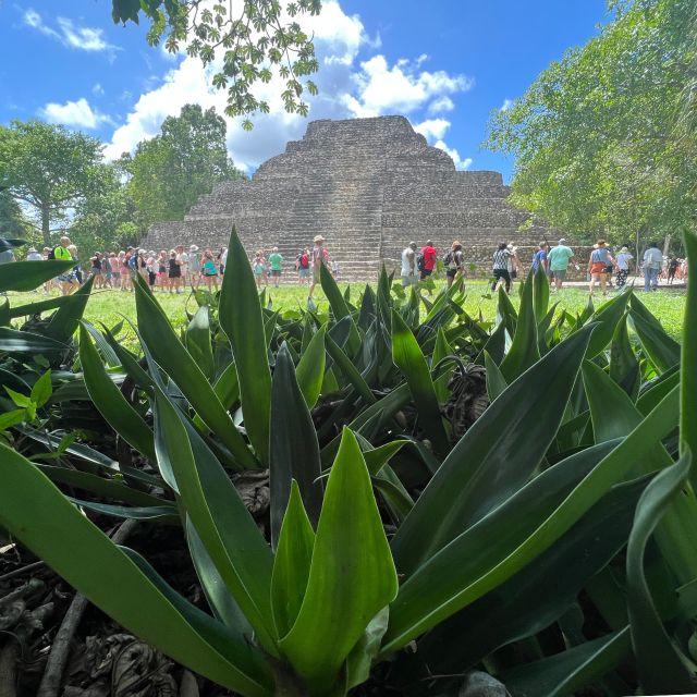 Chacchoben Mayan Ruins Excursion - Tour Experience