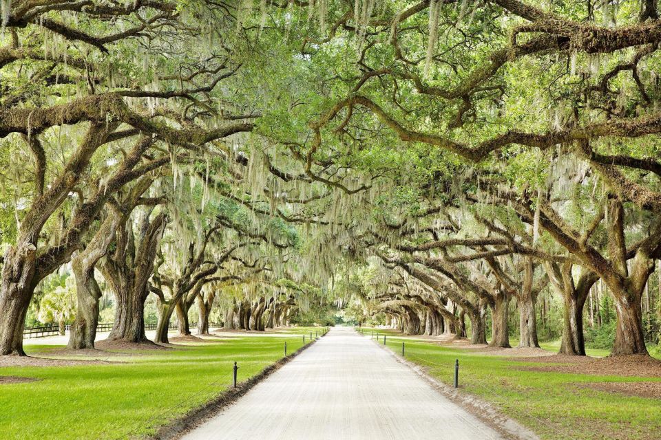 Charleston: Tour Pass With 15 Attractions - Magnolia Plantation and Gardens