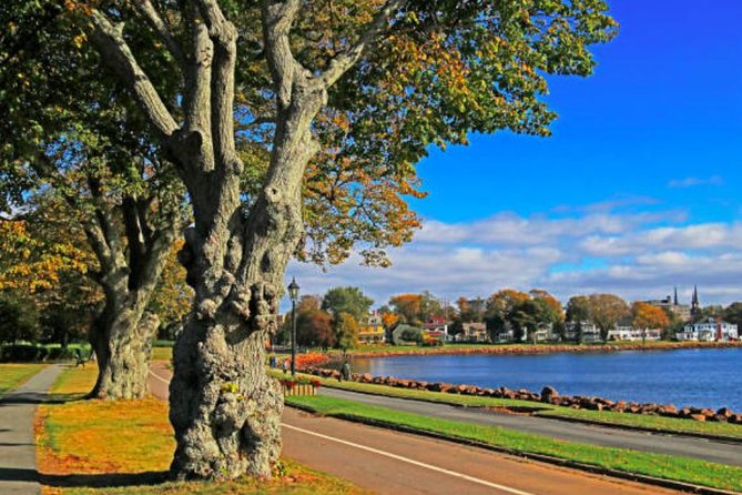 Charlottetown Driving Tour - Meeting Point Details