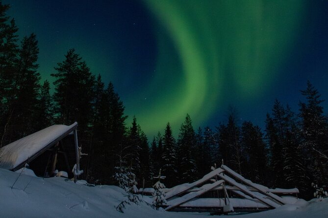 Chasing the Magic Northern Lights in Rovaniemi in a Small Group - Fireside Snacks and Hot Juices