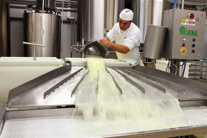 Cheesemaker for a Day & Visit to the Dairy - Tour the Dairy Farm