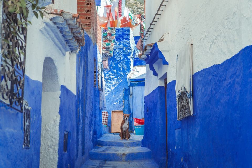 Chefchaouen Bleu City Day Trip From Casablanca - Pickup and Itinerary Details