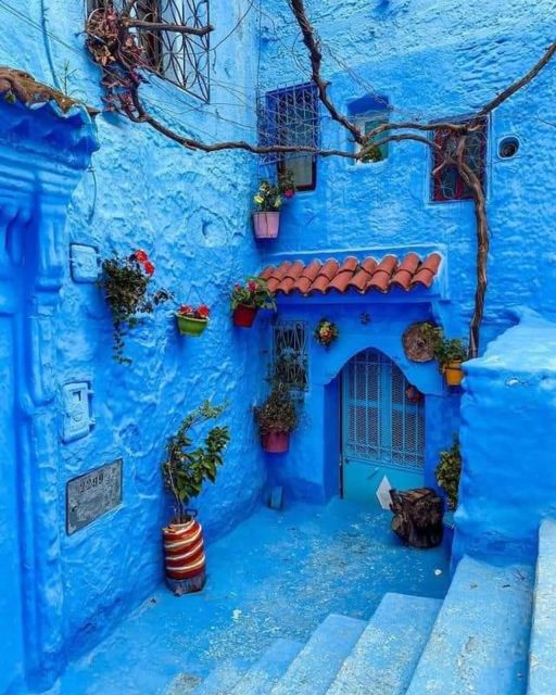 Chefchaouen Day Trip With Small Group - Experience and Itinerary