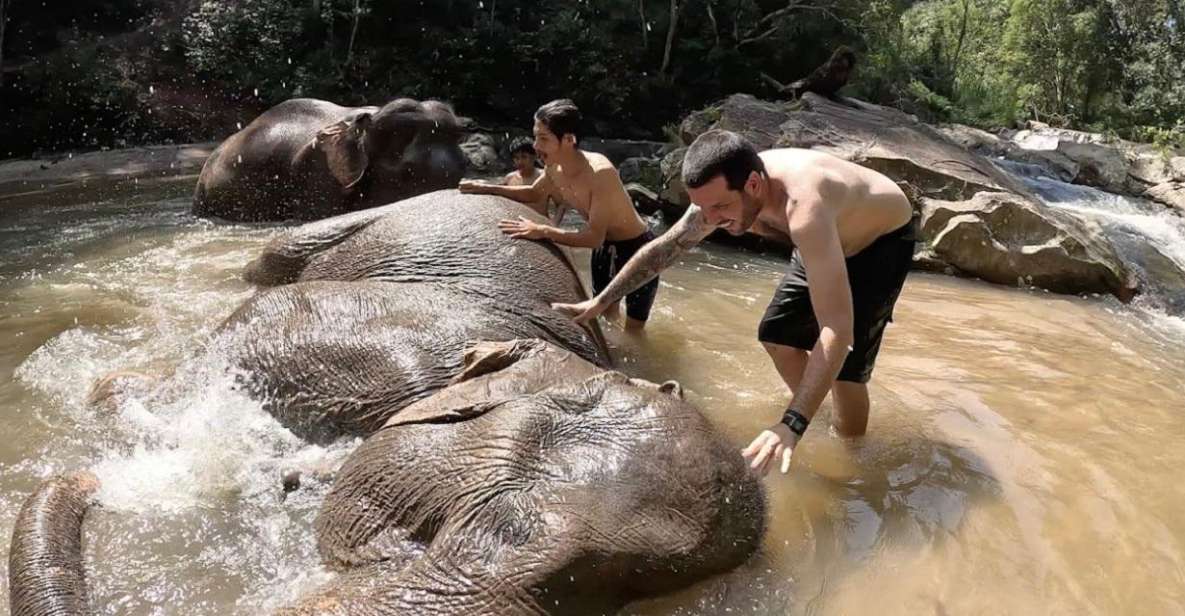 Chiang Mai :Doi Inthanon Explore &Ethical Elephant Sanctuary - Duration and Availability Information