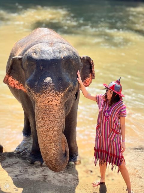 Chiang Mai : Elephant Care & Long Necked Village - Experience Highlights
