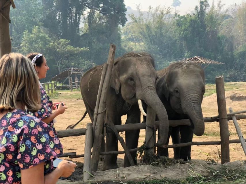 Chiang Mai Elephant Home One Day Experience - Inclusions