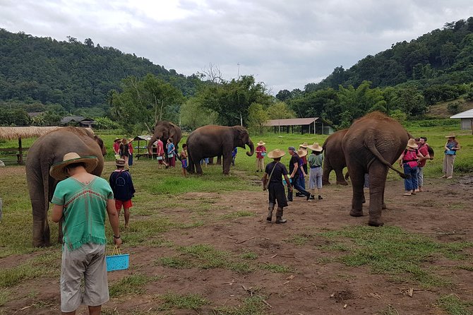 Chiang Mai Elephant Sanctuary and Temples Tour - Temple Visits