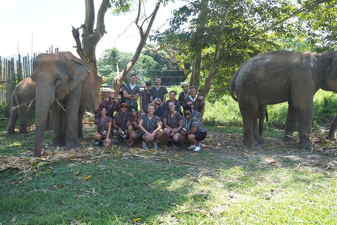 Chiang Mai Elephant Sanctuary Small Group Ethical Tour - Reviews