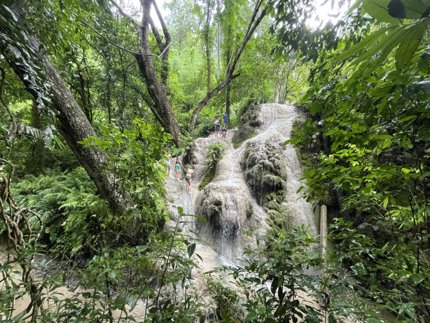 Chiang Mai: Enjoy Climbing Sticky Waterfall - Enjoy Climbing the Bua Thong