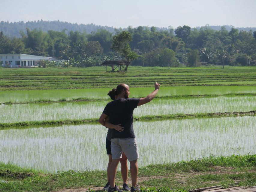 Chiang Mai Fields of Gold Cycling Tour - Experience Highlights and Group Size