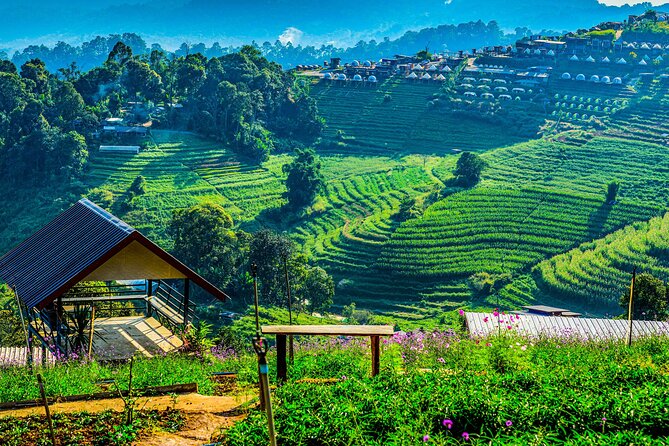 Chiang Mai Mon Jam Highlands and Pongyang Full-Day Private Tour - Cancellation Policy Details