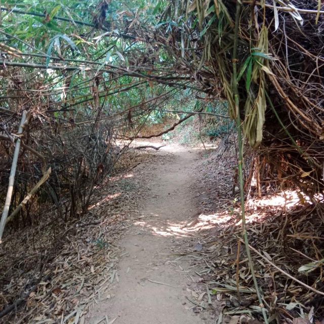 Chiang Mai Monk's Trail Wat Pha Lat & Visit Wat Doi Suthep - Pickup Information