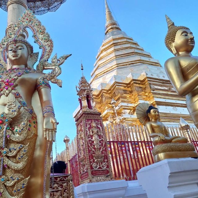 Chiang Mai: Wat Pha Lat & Wat Phra That Doi Suthep Tour - Tour Inclusions